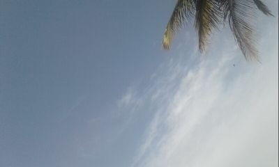 muhamme95610910's profile picture. 