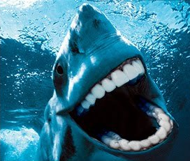 SharkRagsNSFWさんのプロフィール画像