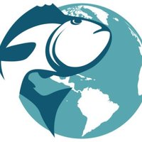 Global Dialogue on Seafood Traceability (GDST)(@TheGDST) 's Twitter Profile Photo