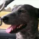 Staci Lang - @sklang3 - Twitter