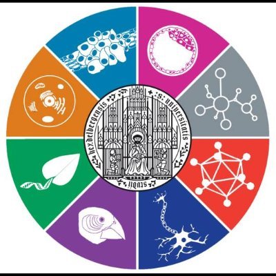 Here you can find information about the events organized by students of Molecular Biosciences MSc at @UniHeidelberg