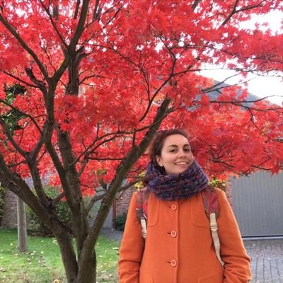 mairawie's profile picture. Borburinho de ideias