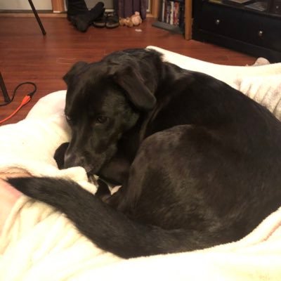 slotsarefun91's profile picture. World traveller, AP slots, puppy dad, Red Sox die hard and overall lover of life!