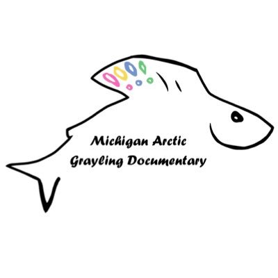 The official Twitter page for The Michigan Arctic Grayling Initiative Documentary. Working to bring back the native Arctic Grayling🐟