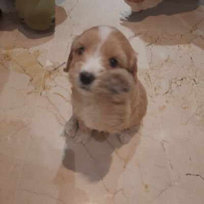 Freediver75Sa's profile picture. 