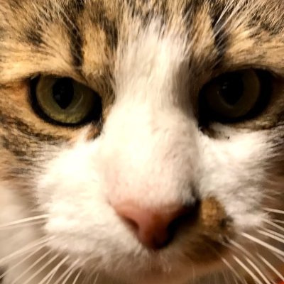 jm_56000's profile picture. Allons vers l'autre monde en flânant en chemin (G.Brassens)