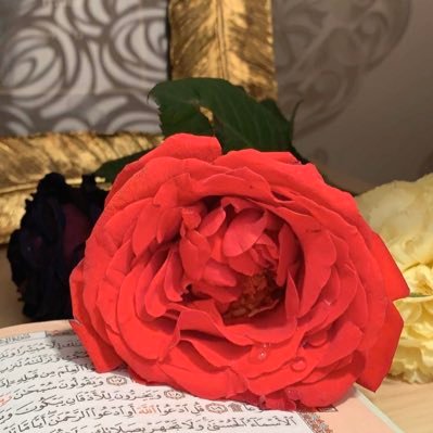 الحمدالله.