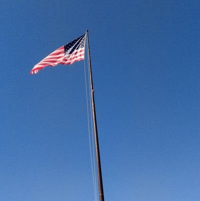 AndreaPinotti5's profile picture. 