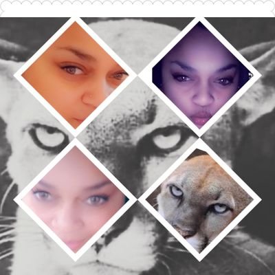 LITEEYEZ80's profile picture. virgo, spoiled, happy, crazy, loyal, and great at it all