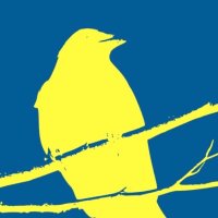 Rochester IDEA Lab (@ur_idea_lab) 's Twitter Profile