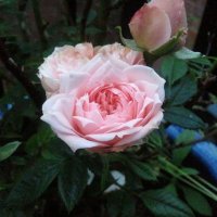 Emma Sadler (@emmathethinker) 's Twitter Profile