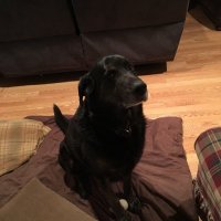 UncleFrick (@realunclefrick) 's Twitter Profile