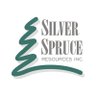 SilverSpruceRes's profile picture. Silver Spruce Resources is a gold, silver and base metals exploration company with drill-ready projects in Canada and Mexico (TSX-V: SSE | OTCQB: SSEBF)