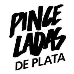 Canal de Youtube Pinceladas de plata en donde vas a poder encontrar videos sobre pintado de miniaturas, maquetismo, charlas, consejos y más.