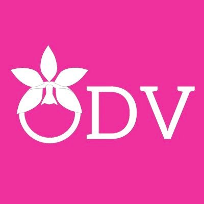 Producción y Comercialización de Orquídeas 🌸 Paisajismos y jardines verticales Mantenimiento de orquidearios Productos orquideasdevenezuela@gmail.com🌱