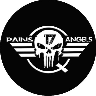 Pains Angels II (Patriot Transition Voice)