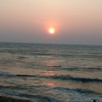 Narayani Barve (@narayanibarve) 's Twitter Profile