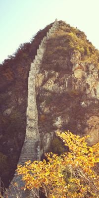 chengcyu's profile picture. Y