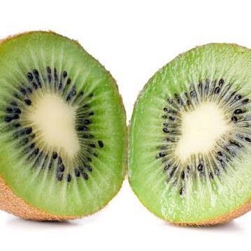 KonservativeKiwi