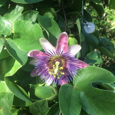 Mary73h's profile picture. 