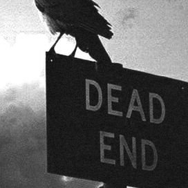 OliverB95977282's profile picture. he/him, claimed by Terminus