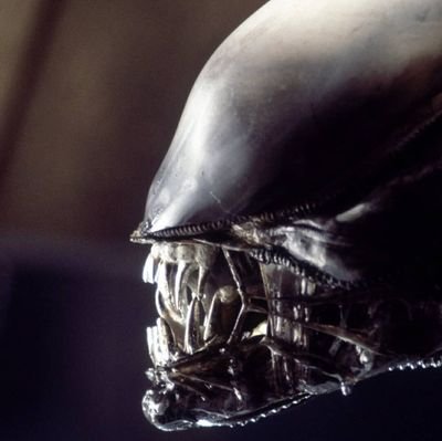 carlos19972007's profile picture. 