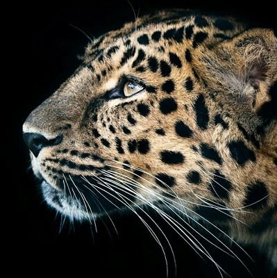 Gilbert80423689's profile picture. 