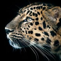 Gilberto (@gilbert80423689) 's Twitter Profile Photo