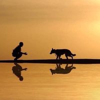 Abu Abbas (@_alajmi585) Twitter profile photo