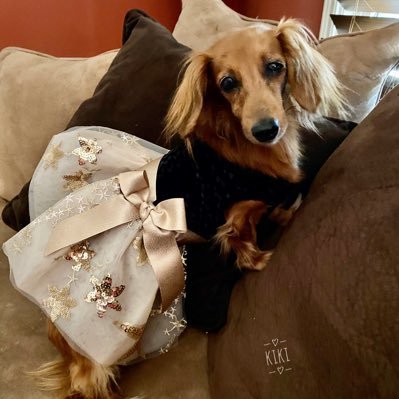 Sava129's profile picture. 