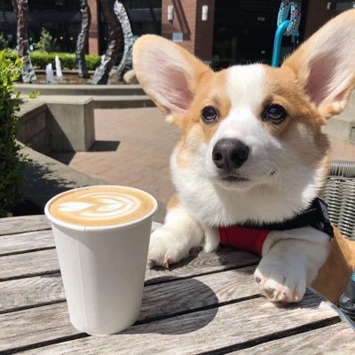 qunix0's profile picture. 