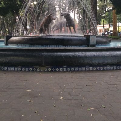 RaussRey's profile picture. La vida
