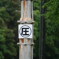 スルメ (@pinboke9) 's Twitter Profile Photo