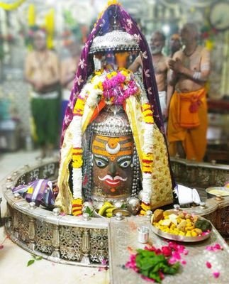 Umashan95485135's profile picture. Area Business Manager