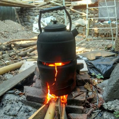 PeloVacondios's profile picture. 