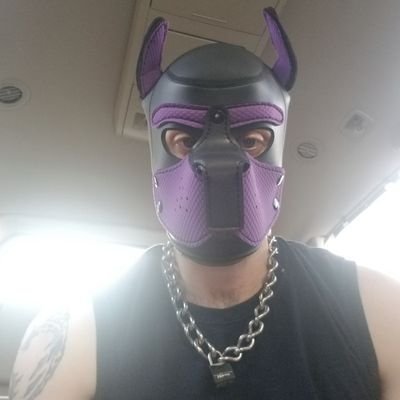 Woof! Aspie sigma pup in DC, looking to make new friends (pup not social so good 🫣), and would love to meet other pups (*nervous giggle*) Bark!