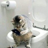 MAFE (@joritzw) 's Twitter Profile