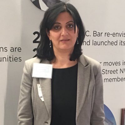 Competition&State Aid Expert, Ex-Commissioner of the State Commission for the Protection of Economic Competition of the Republic of Armenia