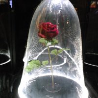 rami (@rami_8540) Twitter profile photo