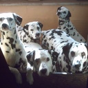 john hearty - @missspottyshubs - Twitter