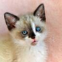 David Buckmaster - @DaposerOne - Twitter