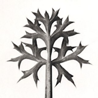 riktuithof's profile picture. Ontwerper/ Filosoof/ Ondernemer. ASVO, MLA, Rietveld, UvA, Academie van Bouwkunst, Studio Rik Tuithof, Studio MATR