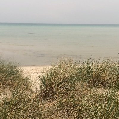 Andie312's profile picture. 