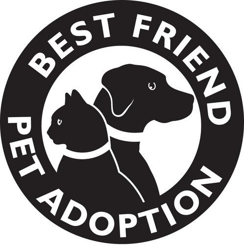 Best Friend Pet Adoption is a no-kill animal rescue organization based in central NC. We are an all-foster network committed to helping needy dogs and cats.