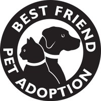 Best Friend Pet Adoption (@bfpa_rescue) 's Twitter Profile