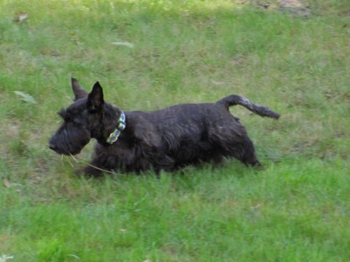 cimanyd1154's profile picture. Wine, Beer, and Spirits retailer. Metrowest