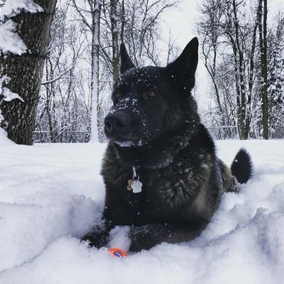 derekjmohr's profile picture. Commercial Product Manager at DL Seeds. Tweets are my own.