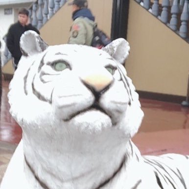 spillover31's profile picture. 大手金融機関勤務 大学職員への転職目指す