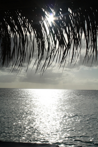 mjgamck's profile picture. Product marketing manager @ Lankhorst Taselaar | Sailing | Football | Marketing | Rowing