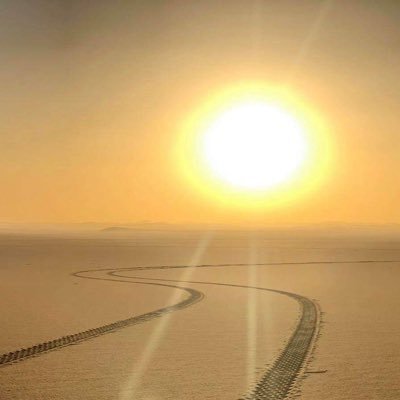 cefyou24654183's profile picture. 